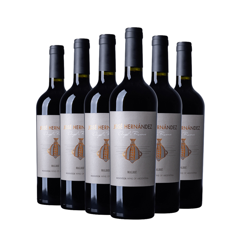 José Hernández Angel's Reserve Malbec 2021 - Paket