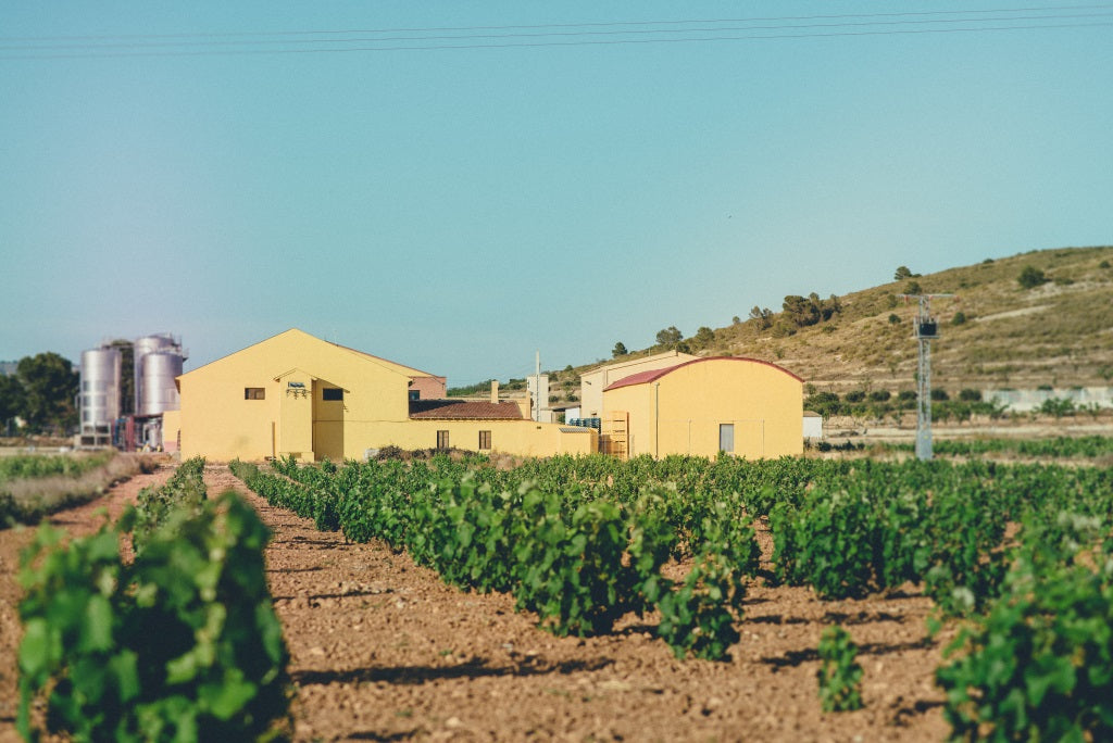 Bodegas Aloren