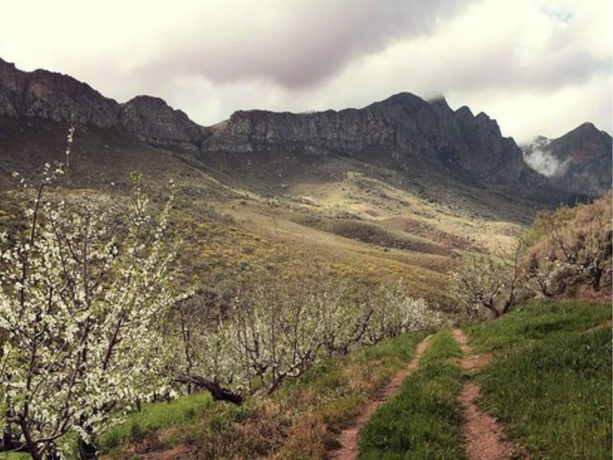 Tulbagh Winery