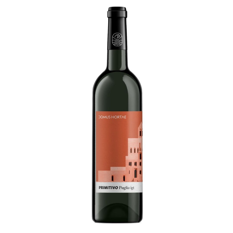 ReMoto Primitivo 2023