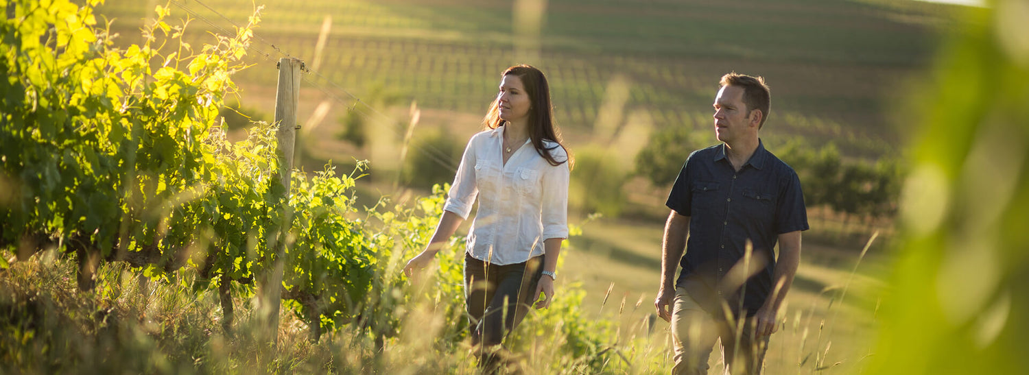 Mullineux & Leeu Family Wines