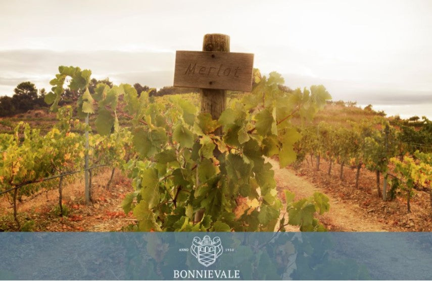 Bonnievale Wines "Jean Slepper"